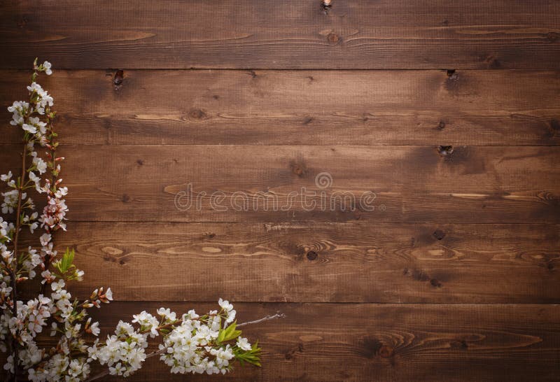 255,425 Wood Background Flowers Stock Photos - Free & Royalty-Free Stock  Photos from Dreamstime