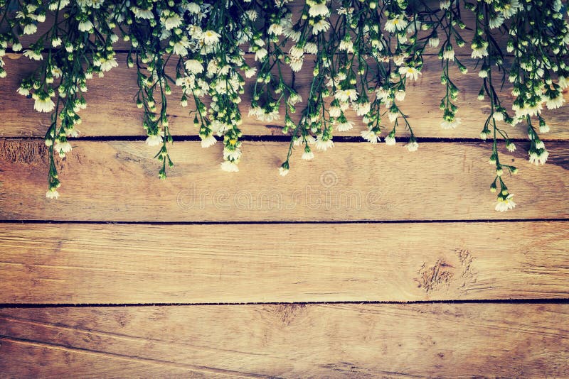 Flowers on Wood Texture Background with Copyspace. Stock Image ...