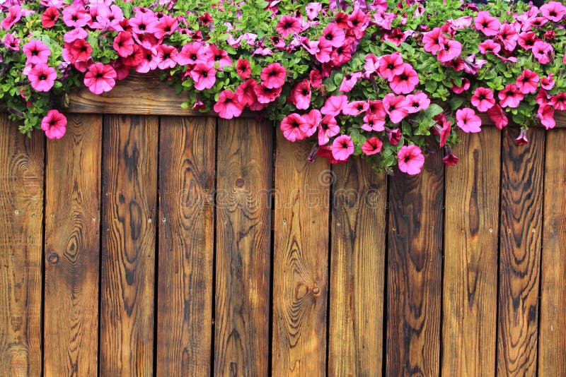 Flowers Wood Texture Background Stock Image Image of bright, bloom