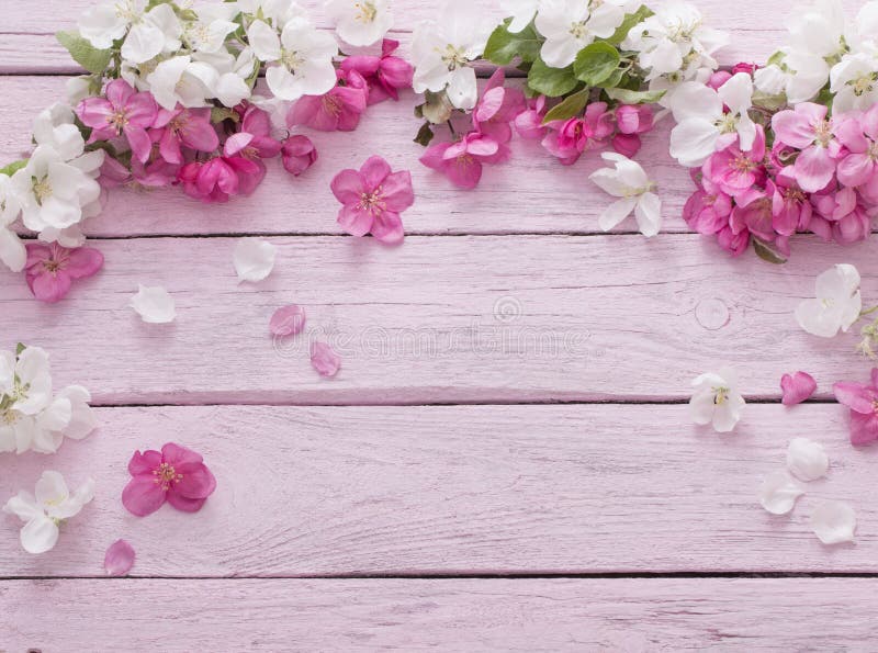 Flowers On Wooden Background Stock Photo - Image of orchard, gardening ...