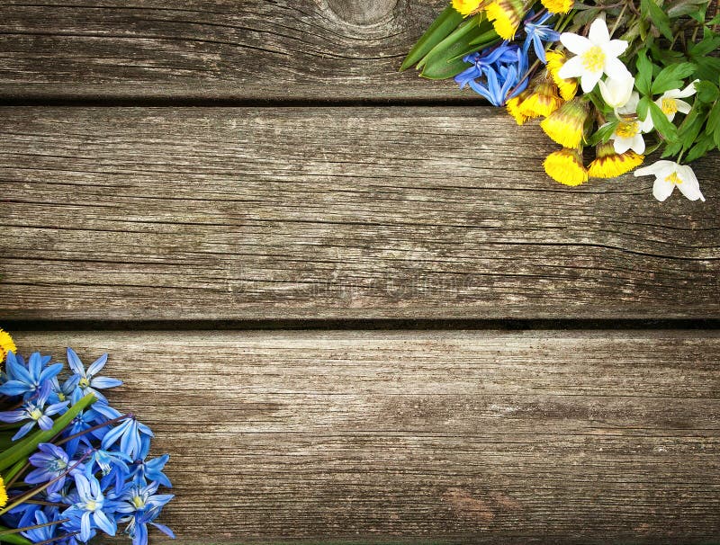Flowers On Wooden Background Stock Photo - Image of flowers, life: 52184324
