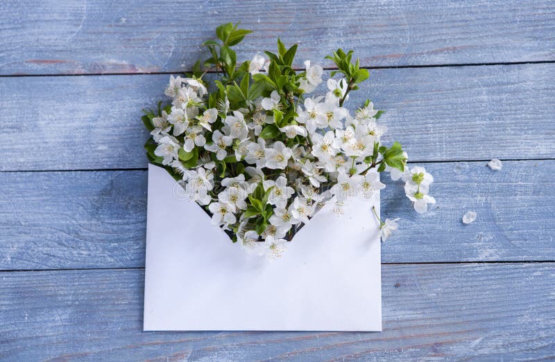 spring flowers on blue wooden background. Springtime and nature concept. love background Beautiful cherry blossom on wooden backgr