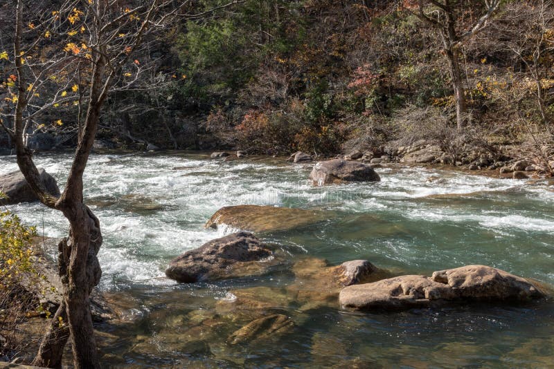 Creek, bank reinforcement stock photo. Image of creek 49780822