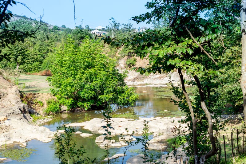 Flowing Through The Forest, A Quiet Stony And Rocky River  