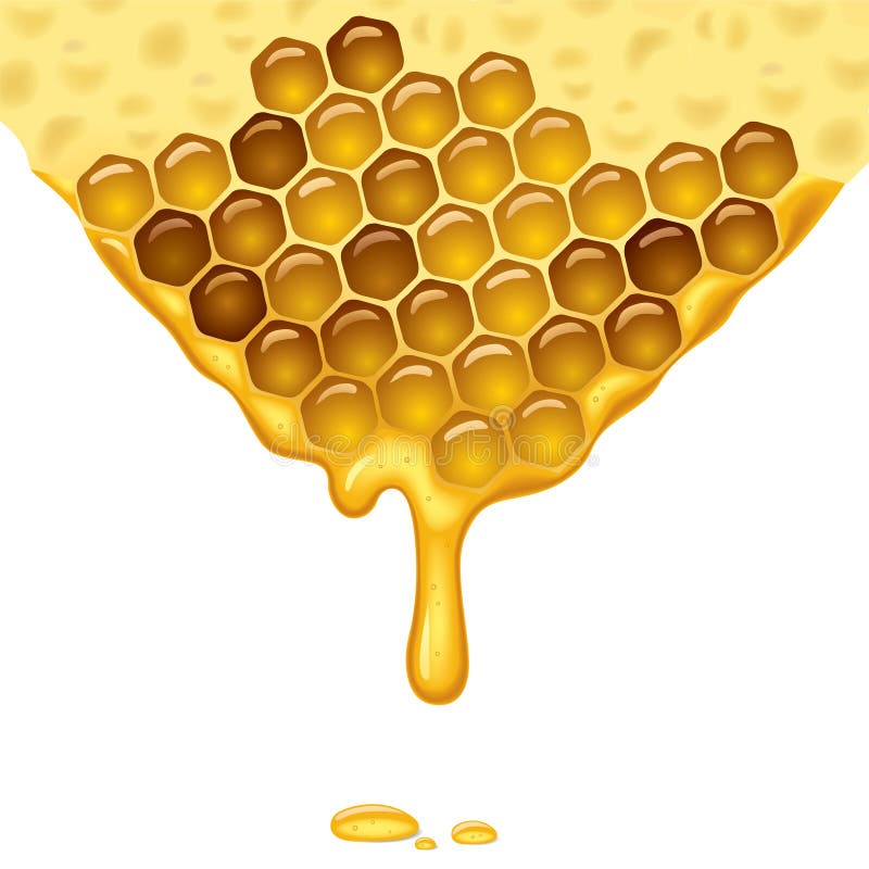Flowing honey royalty free illustration