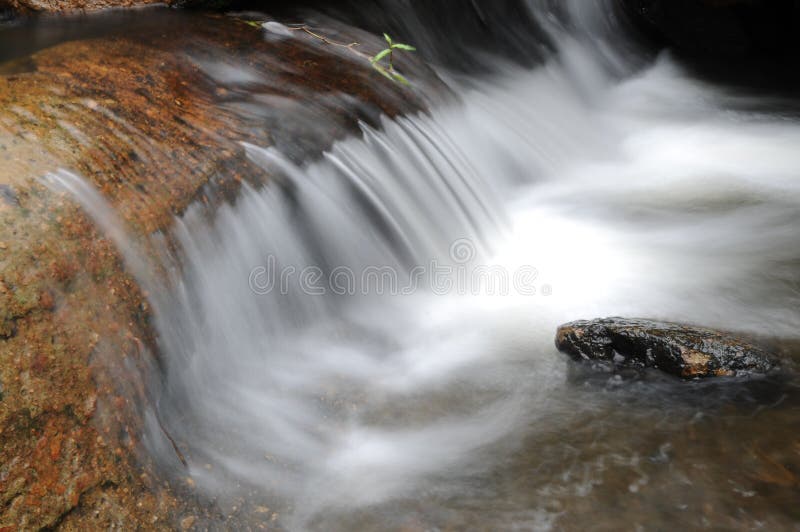 The flowing spring water