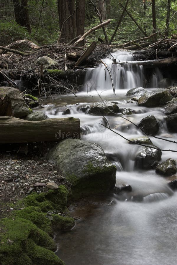 Agua a través de Bosque, horno de cal condición.