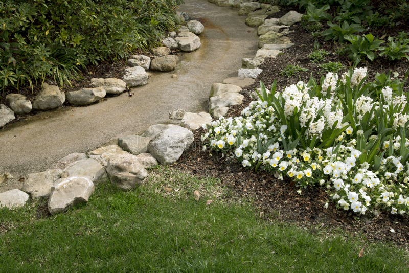 Flowing Water Around Beautiful Spring Flower Bed Stock Image Image of