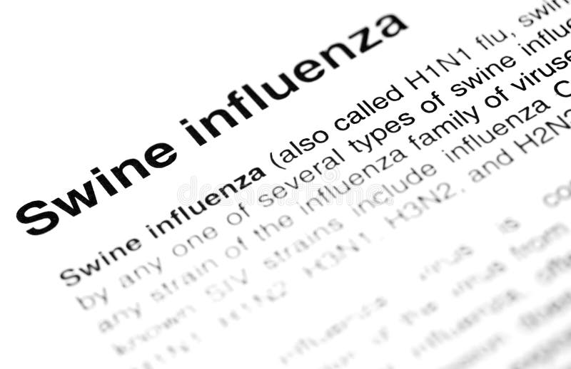 flu h1n1 swine text virus arkivfoton flu h1n1 swine text virus arkivfoton