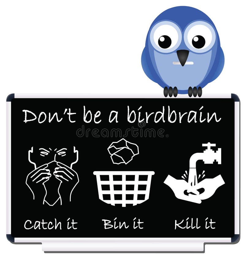 Birdbrain. Message prevent