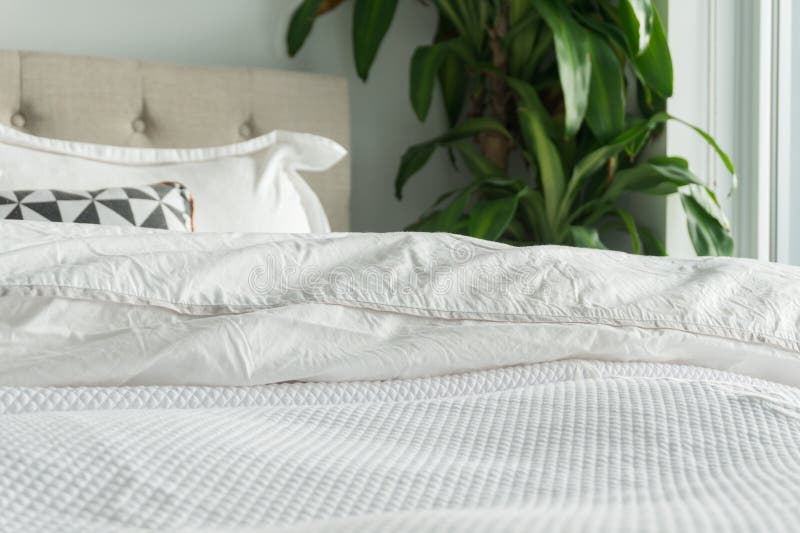 Fluffy, white duvet and blanket with decorative pillows, headboard and house plant. Comfortable, cozy bed with white bedding