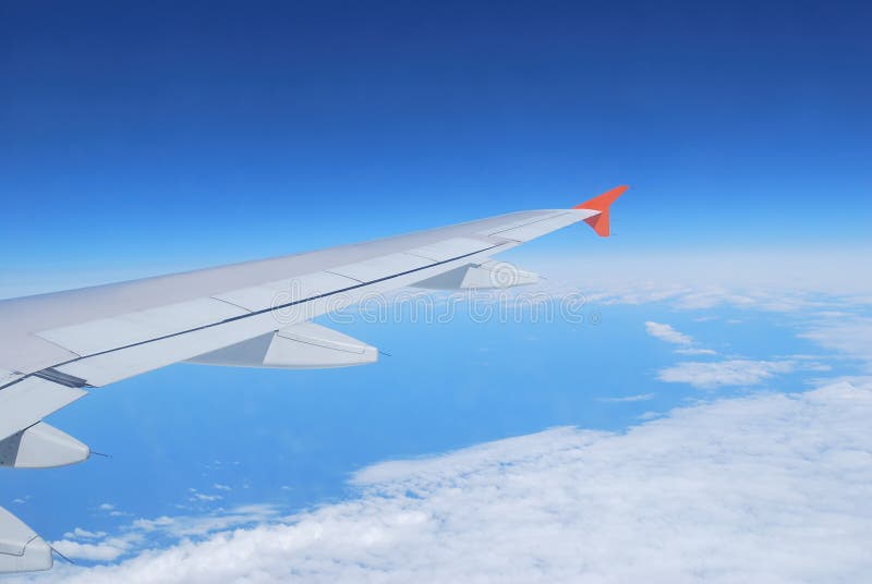 Flug lizenzfreies stockbild Flug lizenzfreies stockbild