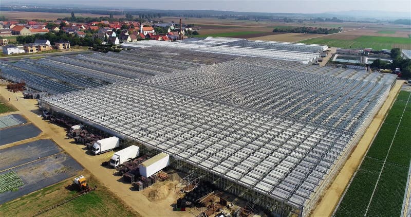 Flug über ein großes Gewächshaus. Gemüse in Gewächshäusern. großes modernes Treibhaus. Gewächshaussicht