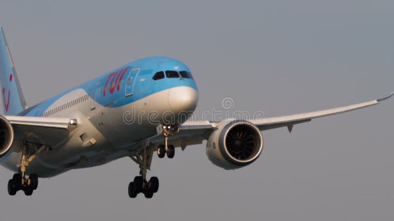 Flugzeug, das sich der Landung nähert stock footage