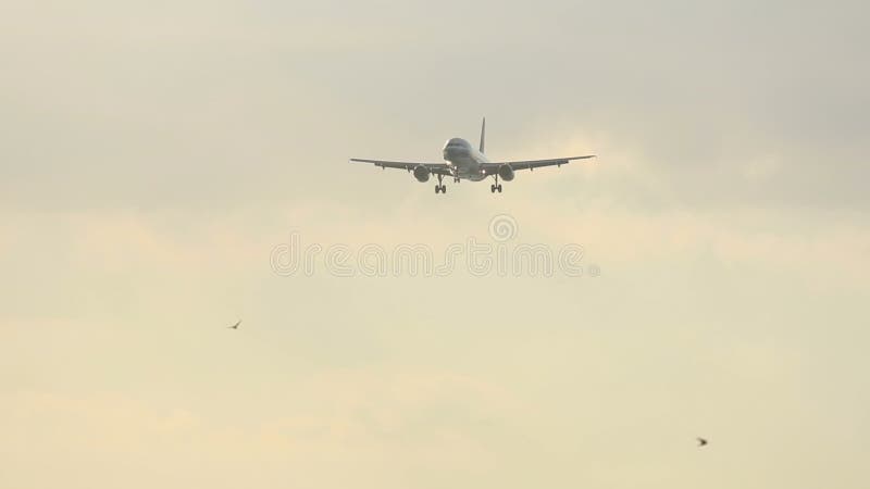 Flugzeug, das über Ozean sich nähert stock footage