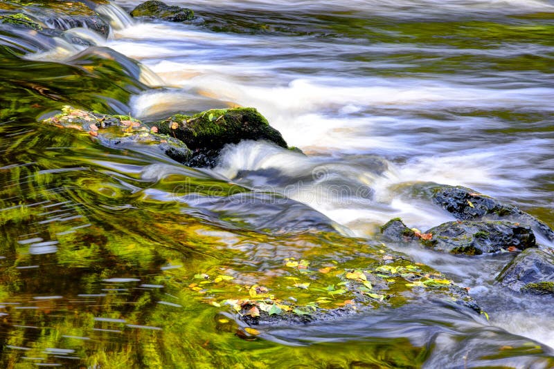 Flujo precioso y piedras del río