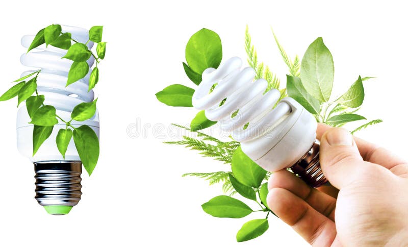 Fluorescent bulb with various green leaves in a hand