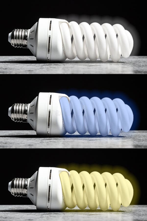 3 Fluorescent Bulbs with Different Color Temperature Neutral, Cool