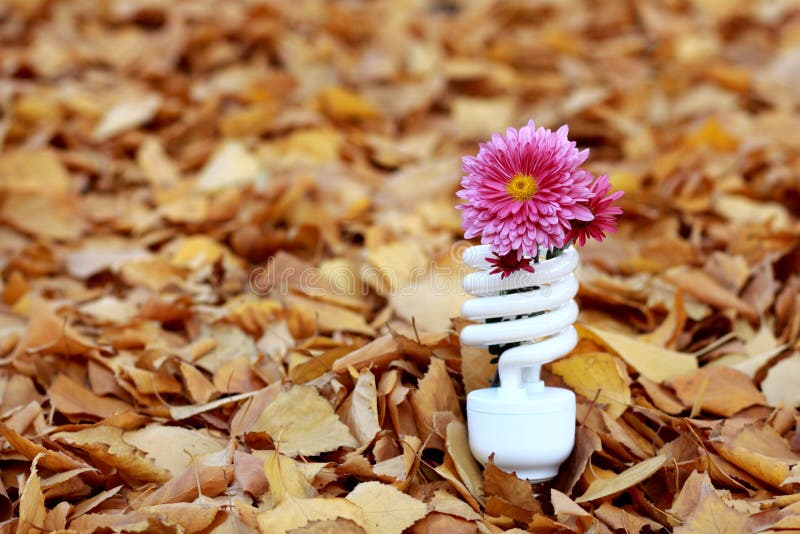 Fluorescent lamp stock photo. Image of plant, energy 30800798