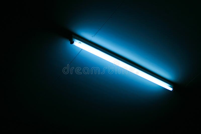 Blue Fluorescent Light Tube Stock Photo Image of blue, efficiency