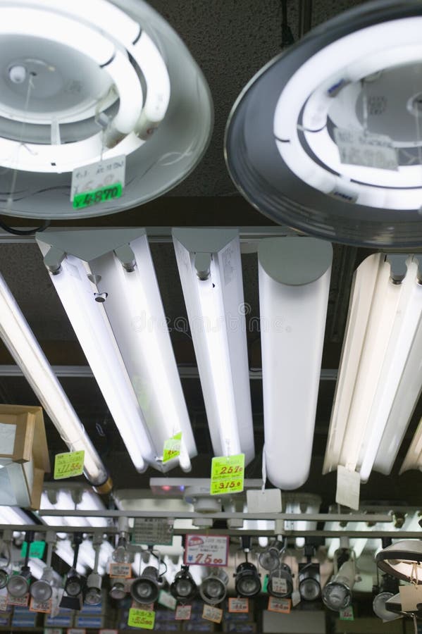 Fluorescent Lights for Sale Stock Photo Image of white, store 3283636