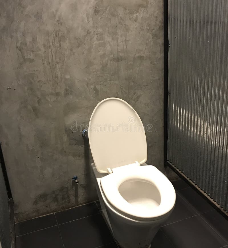 Flush toilet stock image. Image of zinc, clean, wall 193529445