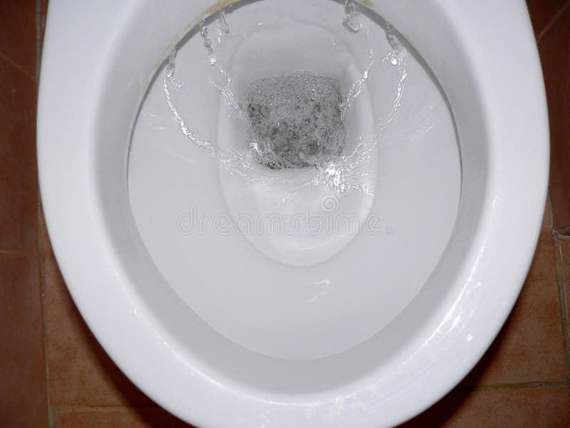 Flush the toilet stock image. Image of caucasian, concepts 66216451