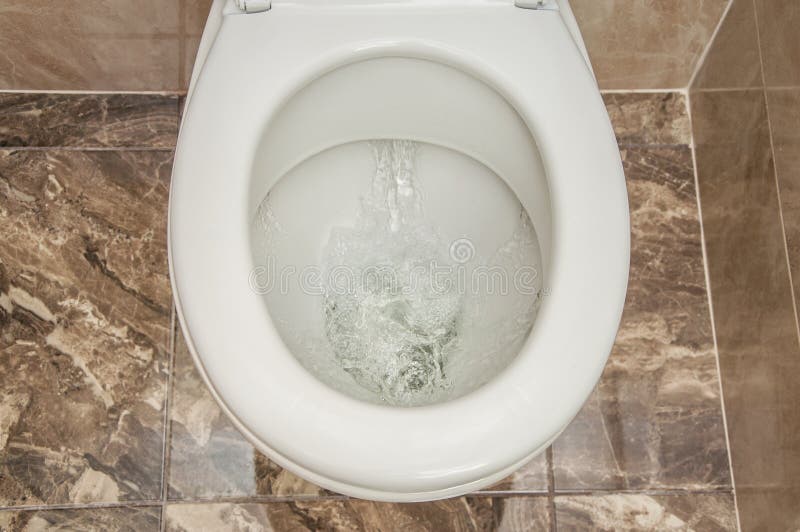 Washing the Toilet Bowl with a Sponge with Liquid Soap from Brown