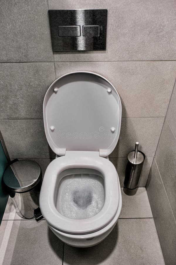 Flushing Water Toilet Wc Seat with Foam with Blue Scented Stones As