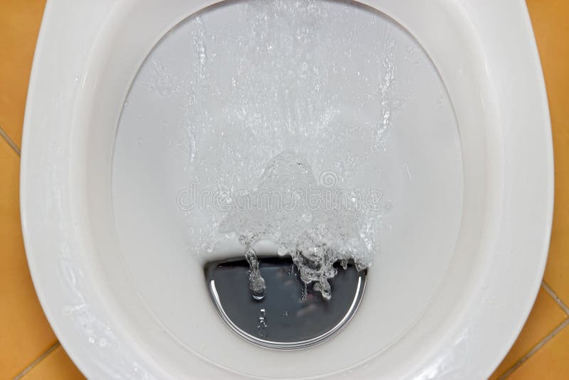 Flushing toilet stock photo. Image of drain, closet