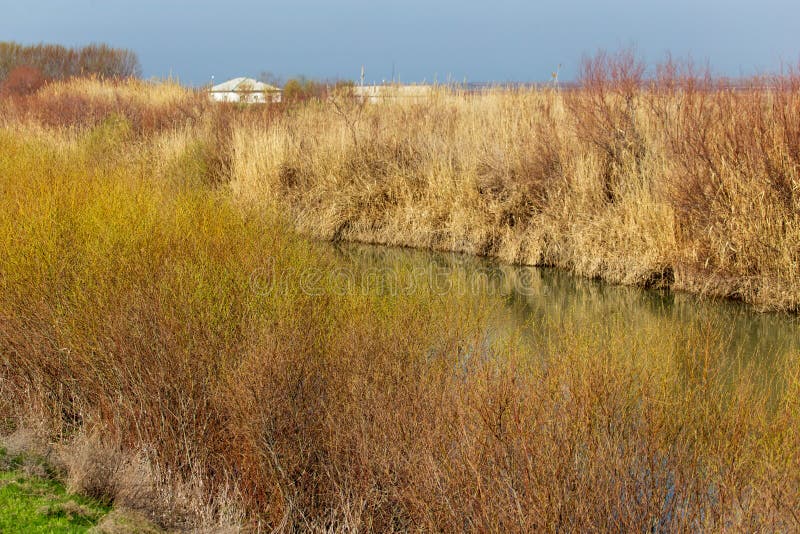Fluss in der Steppe von Kasachstan im Frühjahr stockfoto Fluss in der Steppe von Kasachstan im Frühjahr stockfoto