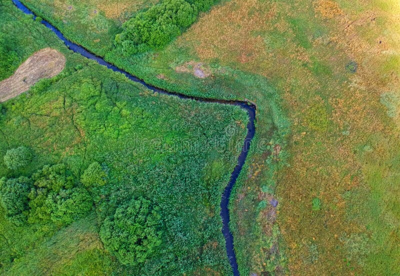 Fluss fließt die grüne Wiese mit Bäumen, Vogelperspektive durch