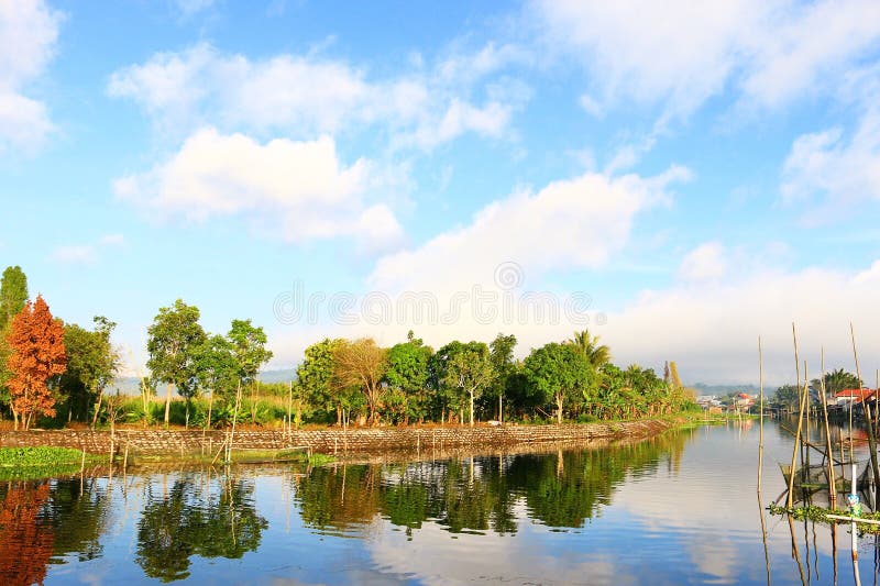 Fluss und Bäume lizenzfreie stockfotografie Fluss und Bäume lizenzfreie stockfotografie