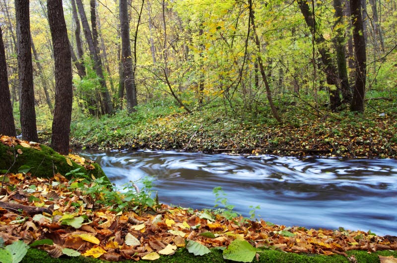 An image of blue river in autumn forest. An image of blue river in autumn forest