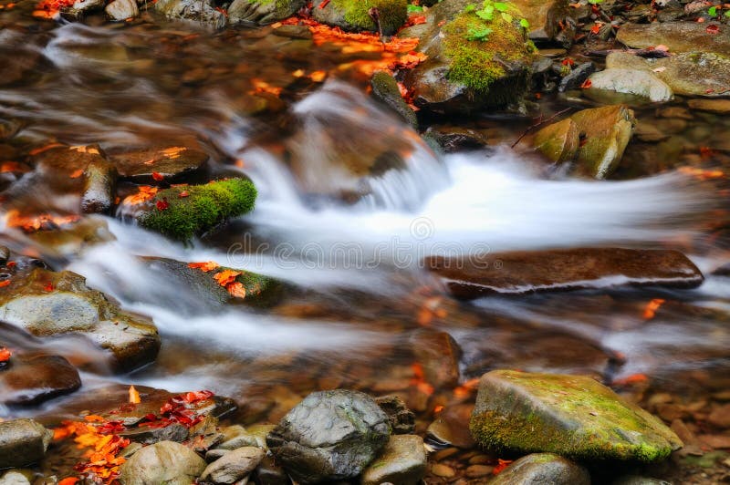 flusso cascata pittoresca nelle montagne carpatiche immagini stock flusso cascata pittoresca nelle montagne carpatiche immagini stock