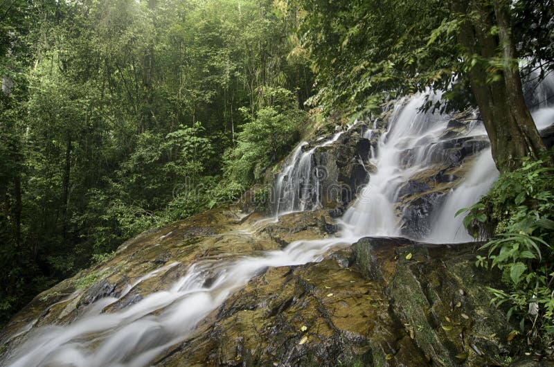 Flusso sbalorditivo della cascata dalla collina, dalle rocce bagnate e dal muscoso verde fotografia stock Flusso sbalorditivo della cascata dalla collina, dalle rocce bagnate e dal muscoso verde fotografia stock