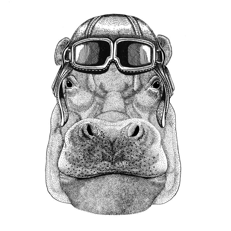Flusspferd, Nilpferd, Ungetüm, Flusspferdetragender lederner Sturzhelm Flieger, Radfahrer, gezeichnete Illustration des Motorrade lizenzfreie abbildung Flusspferd, Nilpferd, Ungetüm, Flusspferdetragender lederner Sturzhelm Flieger, Radfahrer, gezeichnete Illustration des Motorrade lizenzfreie abbildung