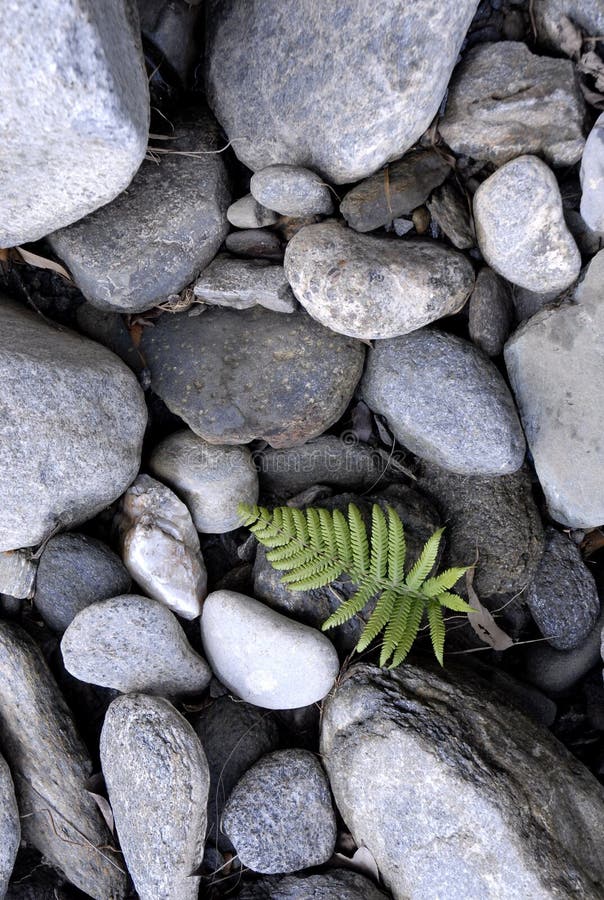 Flusssteine lizenzfreie stockbilder