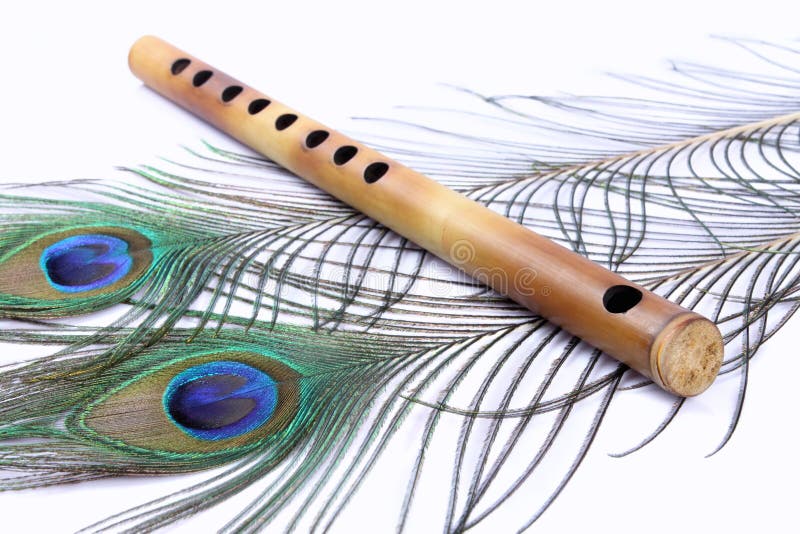 Flute with Peacock Feathers Stock Image - Image of object, beauty: 19183455