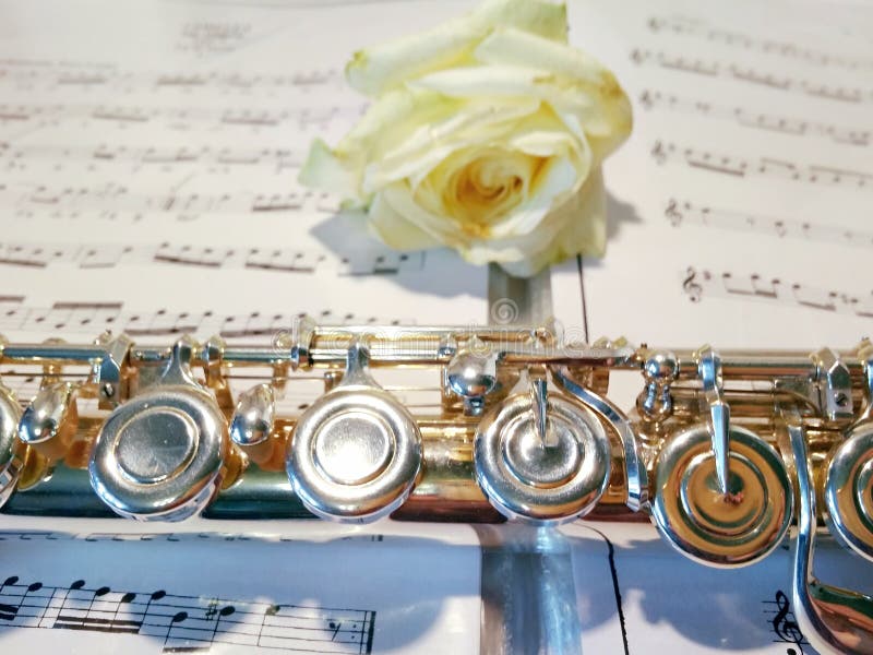 Flute with Rose on Background of Notes Stock Image - Image of rose, sound:  147483593