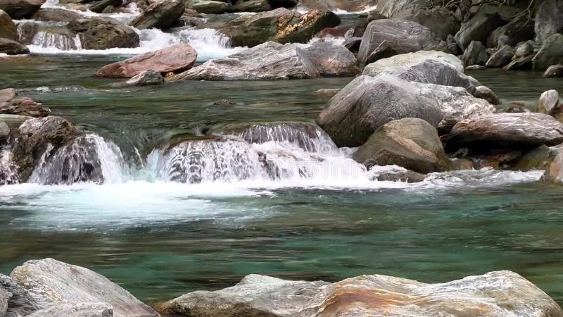 Flux d'une rivière de montagne propre Partie de la rivière à écoulement calme banque de vidéos