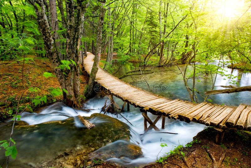 Flux forestier adânc cu apă limpede și cristalină în soare. lacuri Plitvice Croația stock photos