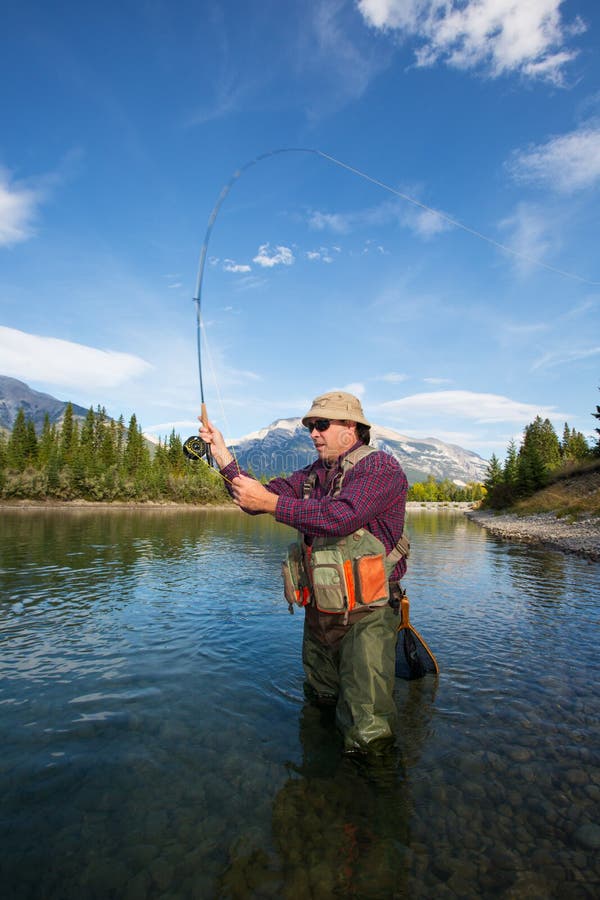 Fly Fisherman royalty free stock photo