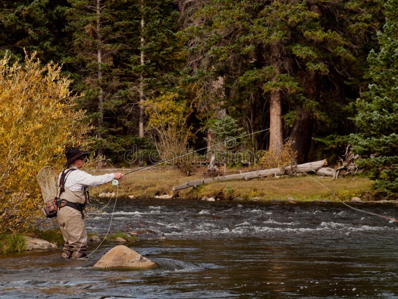 Fly Fisherman royalty free stock photo