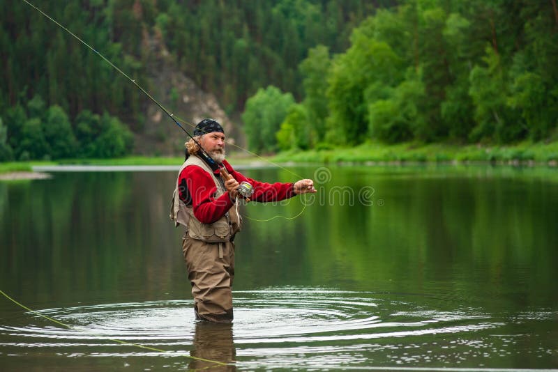 Fly Fishing Angler Makes Cast while Standing in Water Stock Photo