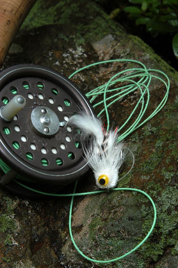 Fly Fishing IV royalty free stock photos Fly Fishing IV royalty free stock photos