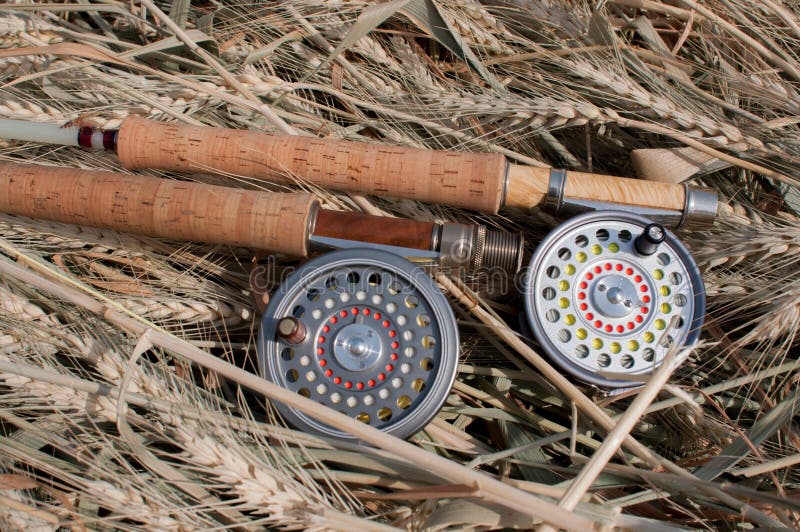 Fly Fishing Traditional Reels and Rods Stock Image Image of rods