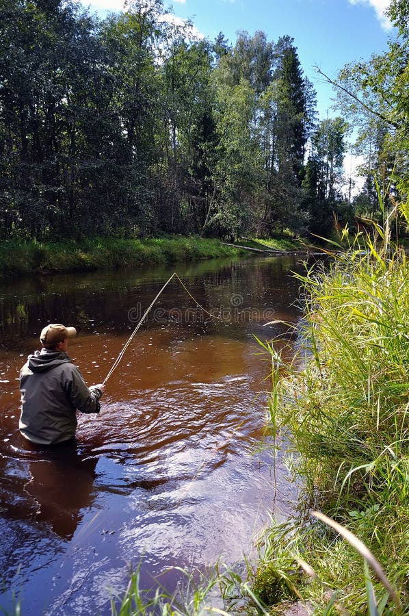 Fly fishing for trout