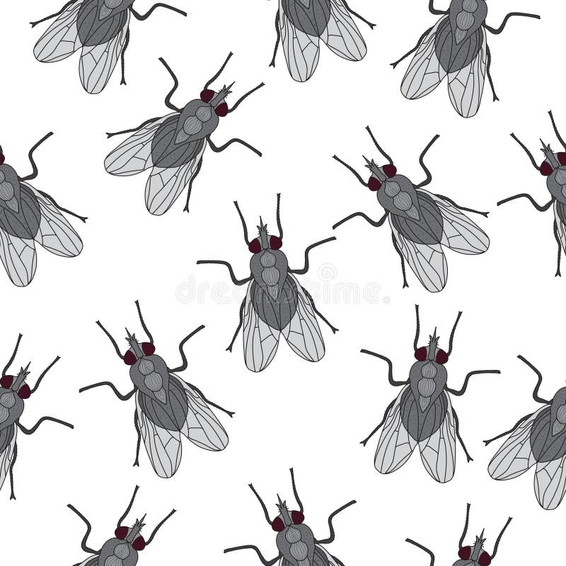 Fly insect seamless texture. Fly wallpaper, background. Vector illustration vector illustration