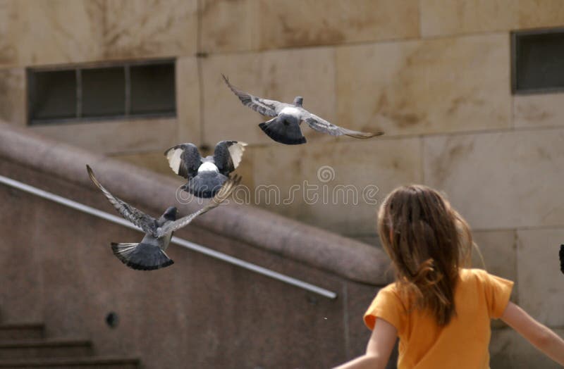 Fly with pigeons